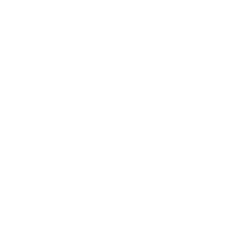 Icon 247