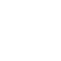 Icon 247
